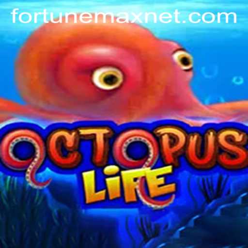 Dive Into the Mysterious World of OctopusLife: FortuneMax Awaits